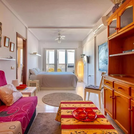 Apartment Lovely In With Kitchen *